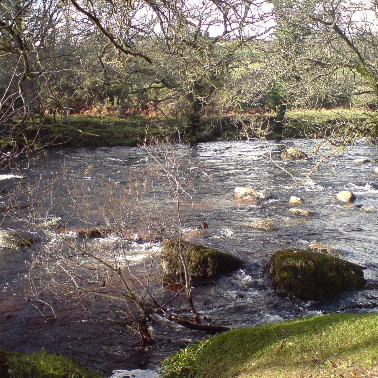 River Dart By Jamsta, CC BY-SA 3.0, https://commons.wikimedia.org/w/index.php?curid=10211936